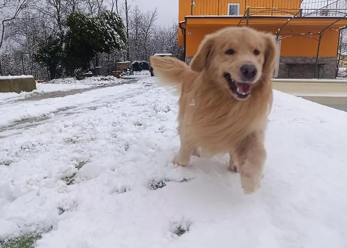 Relax 5 Alloggio in famiglia Rivalta Bormida